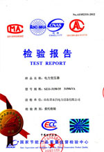 岳阳电力变压器检测报告